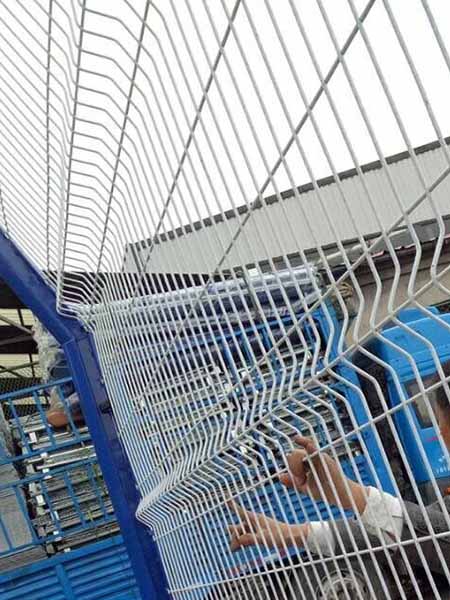 Welded Mesh Fence Panels: A Practical Guide to Enhancing Security with Sturdy Fencing Solutions